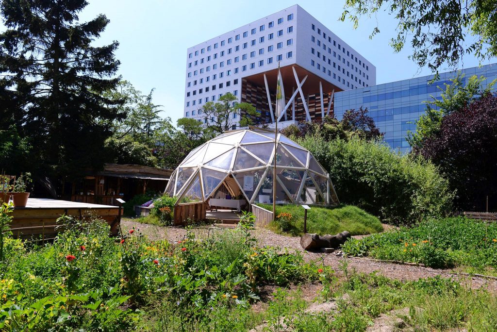 Outdoor workspaces: urban green