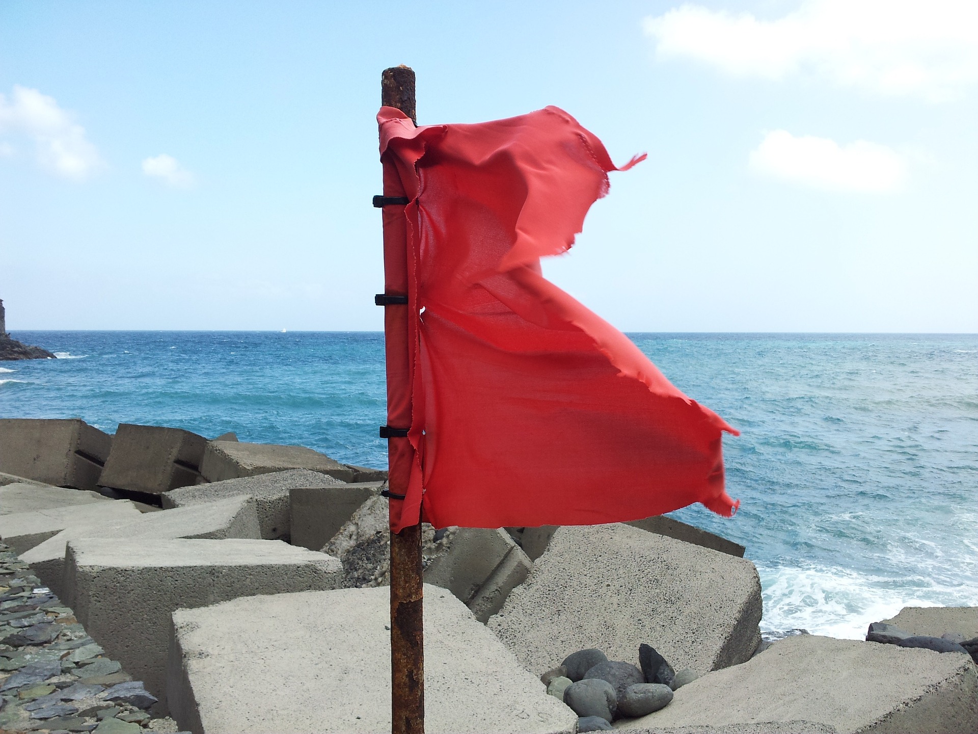 Startup due diligence: how to spot red flags – part 2